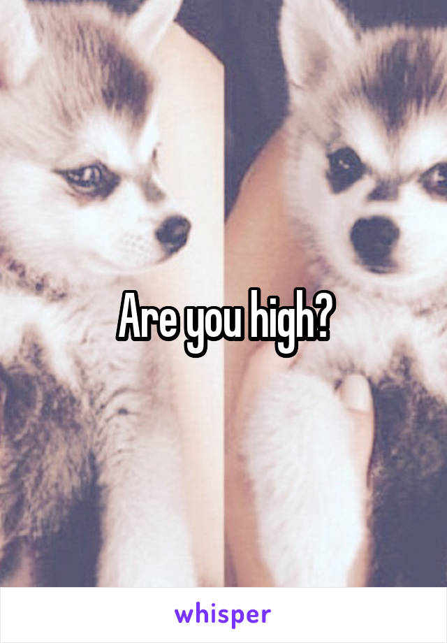 Are you high?