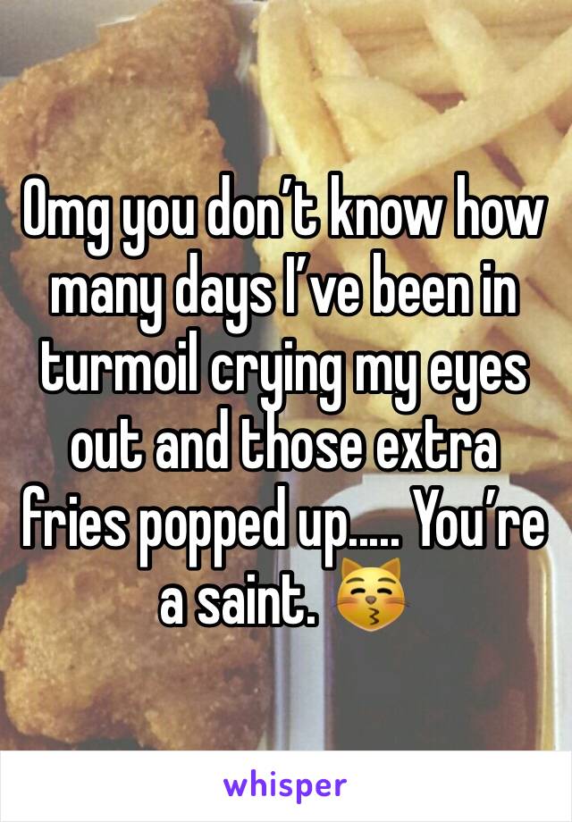 Omg you don’t know how many days I’ve been in turmoil crying my eyes out and those extra fries popped up..... You’re a saint. 😽