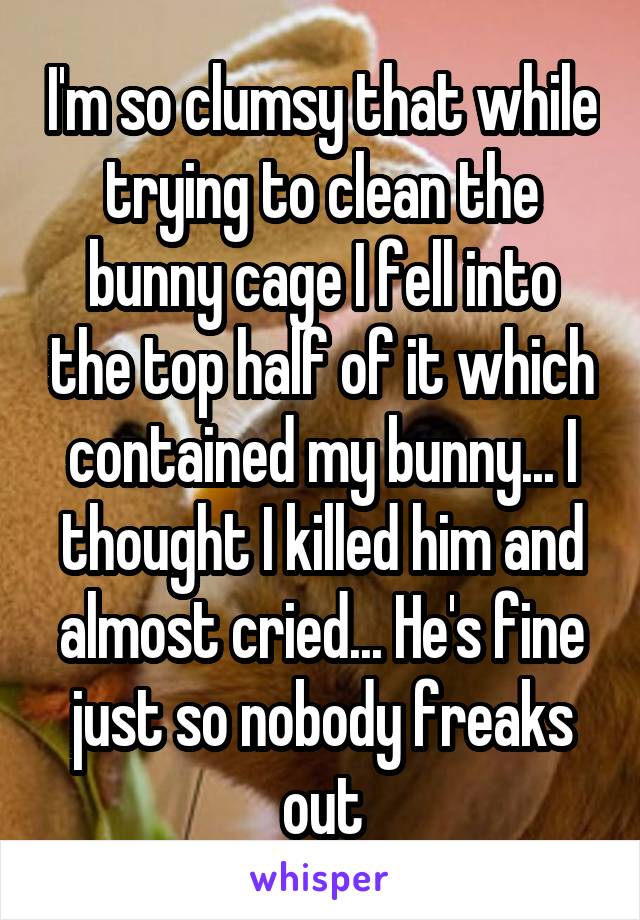 I'm so clumsy that while trying to clean the bunny cage I fell into the top half of it which contained my bunny... I thought I killed him and almost cried... He's fine just so nobody freaks out