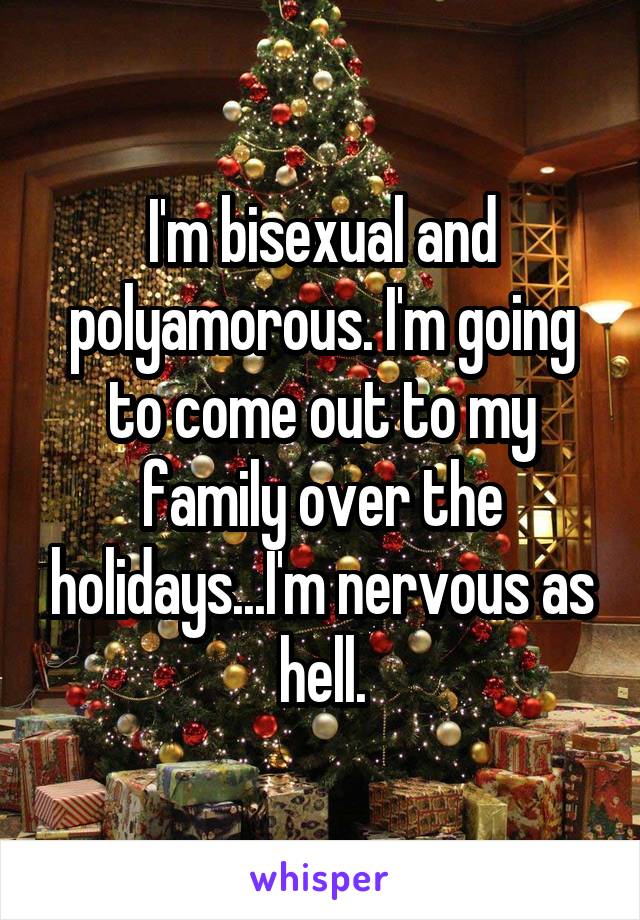 I'm bisexual and polyamorous. I'm going to come out to my family over the holidays...I'm nervous as hell.
