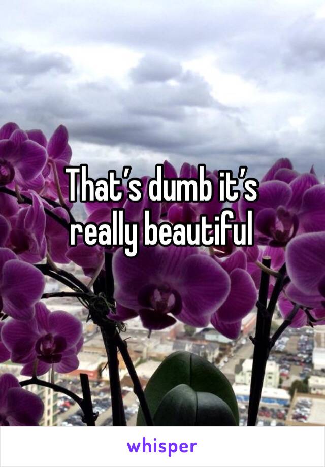 That’s dumb it’s really beautiful 