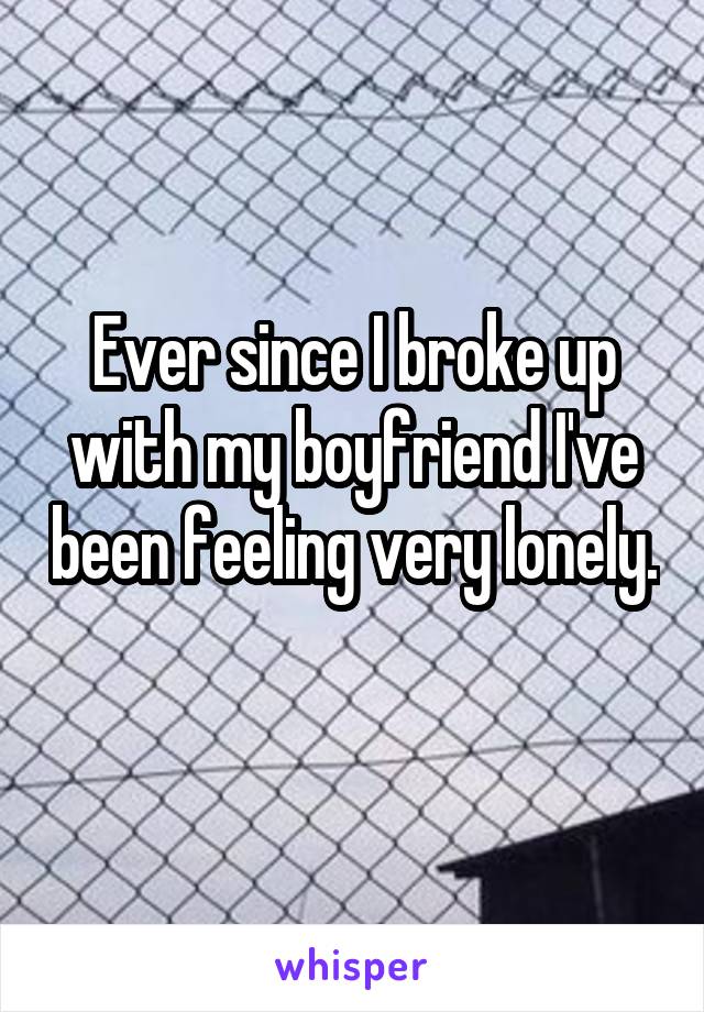 Ever since I broke up with my boyfriend I've been feeling very lonely. 