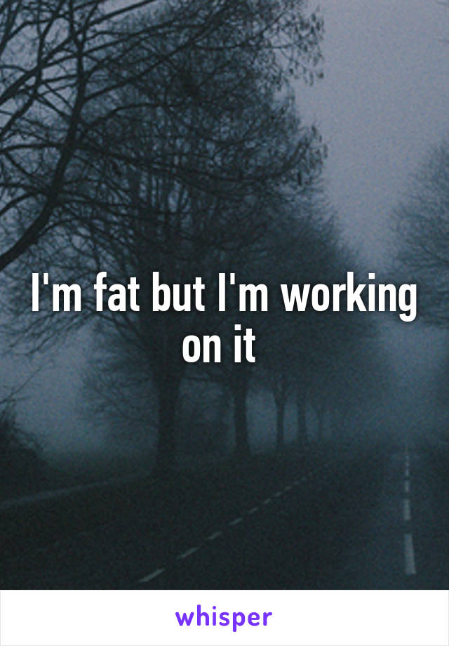 I'm fat but I'm working on it 