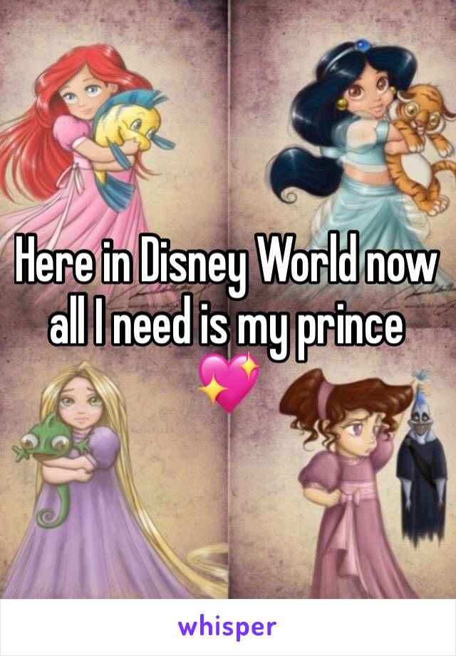 Here in Disney World now all I need is my prince ðŸ’–