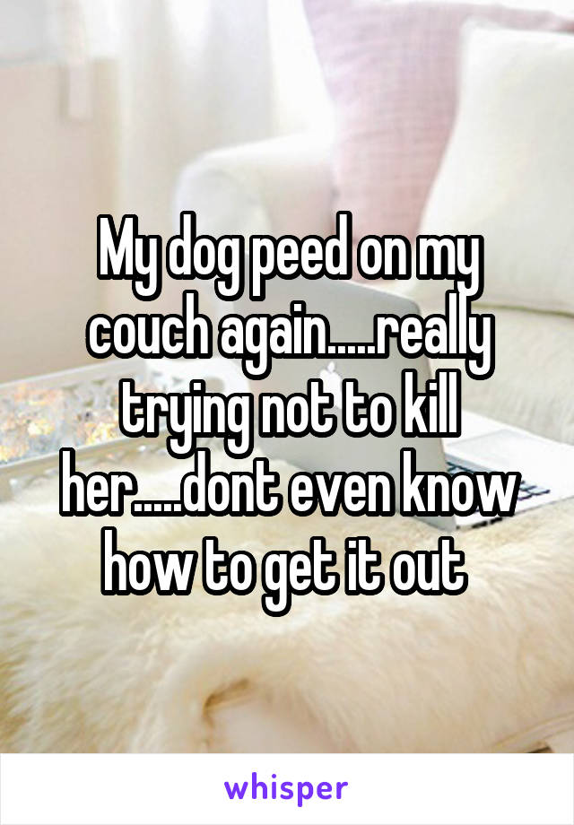My dog peed on my couch again.....really trying not to kill her.....dont even know how to get it out 