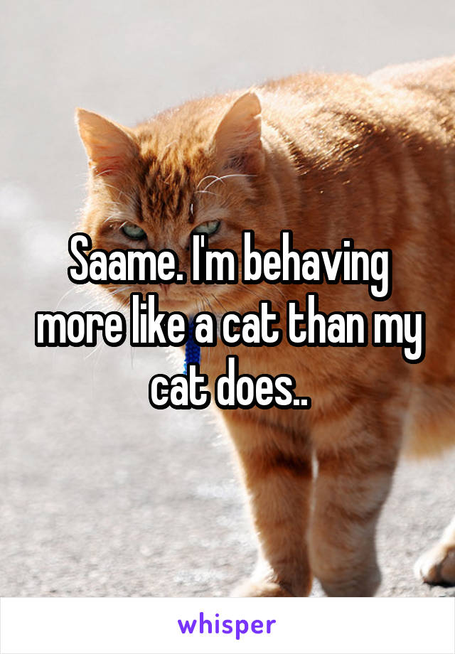 Saame. I'm behaving more like a cat than my cat does..