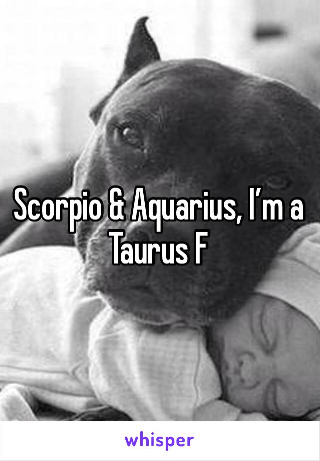 Scorpio & Aquarius, I’m a Taurus F