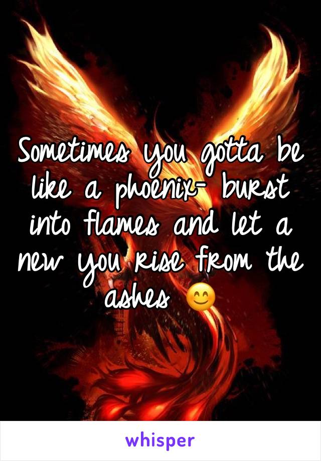 Sometimes you gotta be like a phoenix- burst into flames and let a new you rise from the ashes ðŸ˜Š