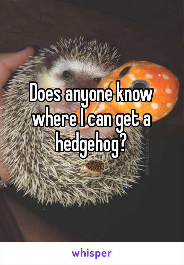 Does anyone know where I can get a hedgehog? 
🦔 