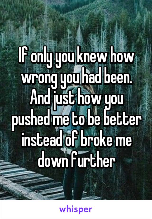 If only you knew how wrong you had been. And just how you pushed me to be better instead of broke me down further