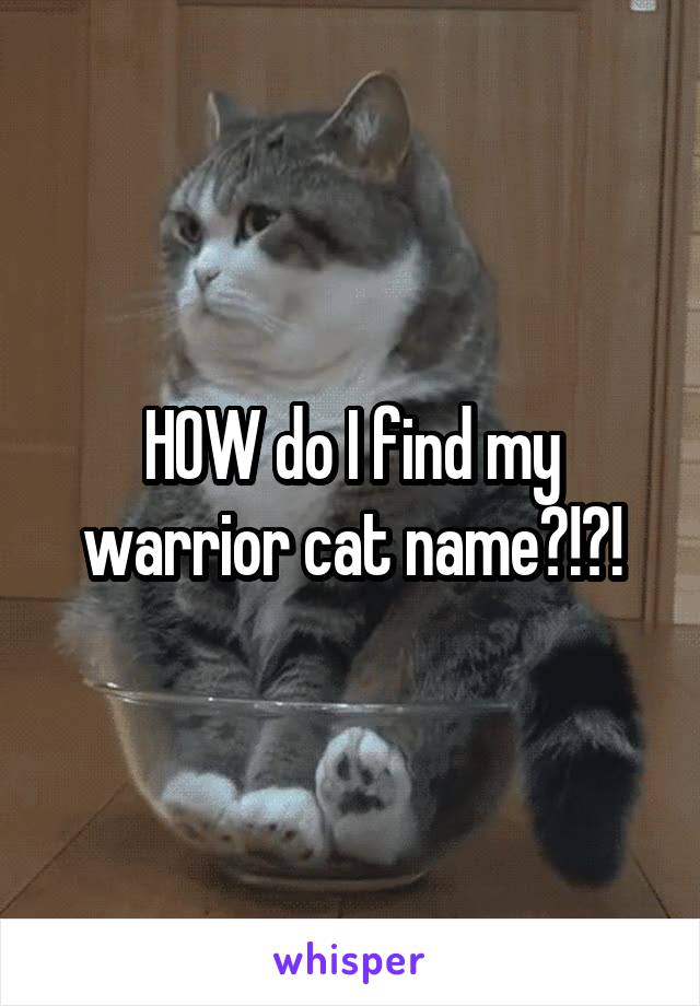 HOW do I find my warrior cat name?!?!