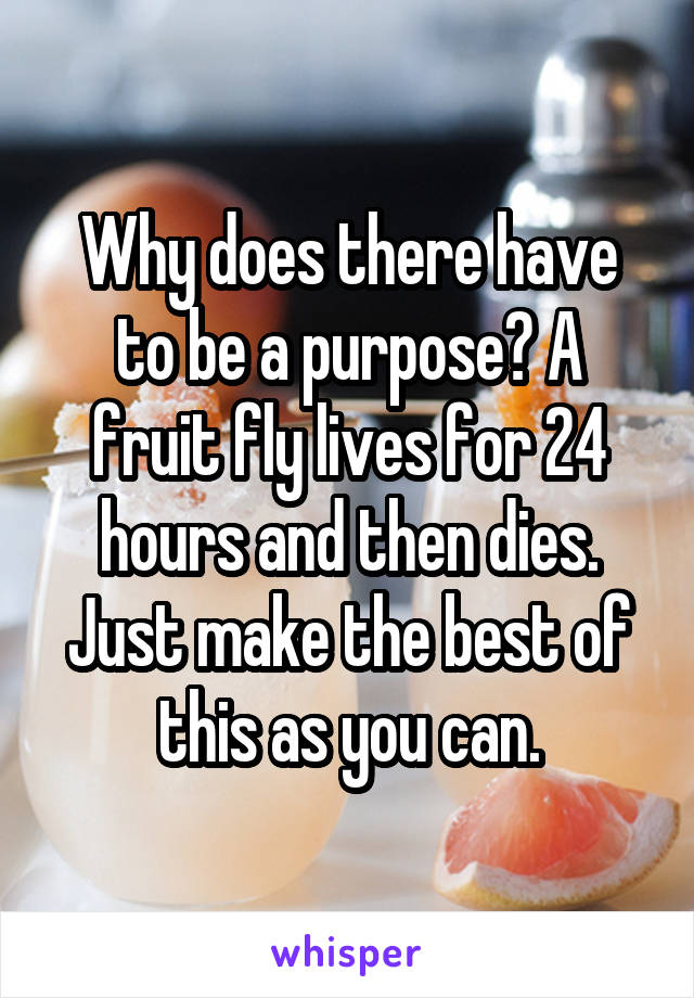 Why does there have to be a purpose? A fruit fly lives for 24 hours and then dies. Just make the best of this as you can.
