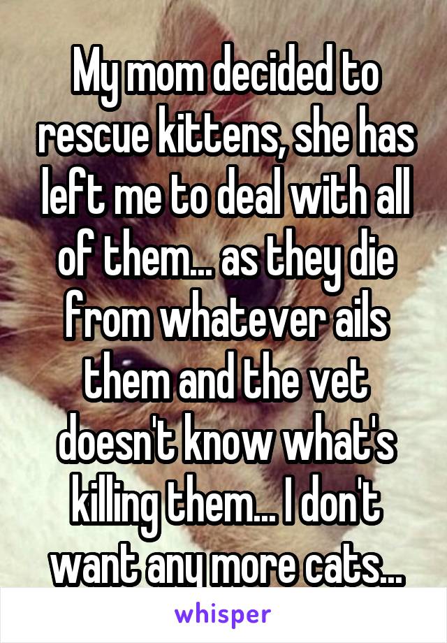 My mom decided to rescue kittens, she has left me to deal with all of them... as they die from whatever ails them and the vet doesn't know what's killing them... I don't want any more cats...