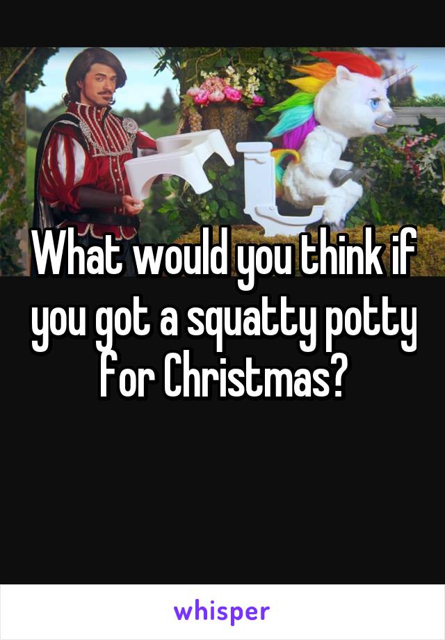 What would you think if you got a squatty potty for Christmas?
