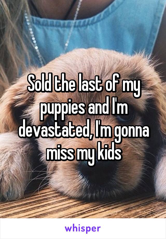 Sold the last of my puppies and I'm devastated, I'm gonna miss my kids