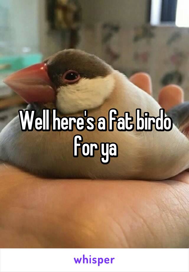 Well here's a fat birdo for ya