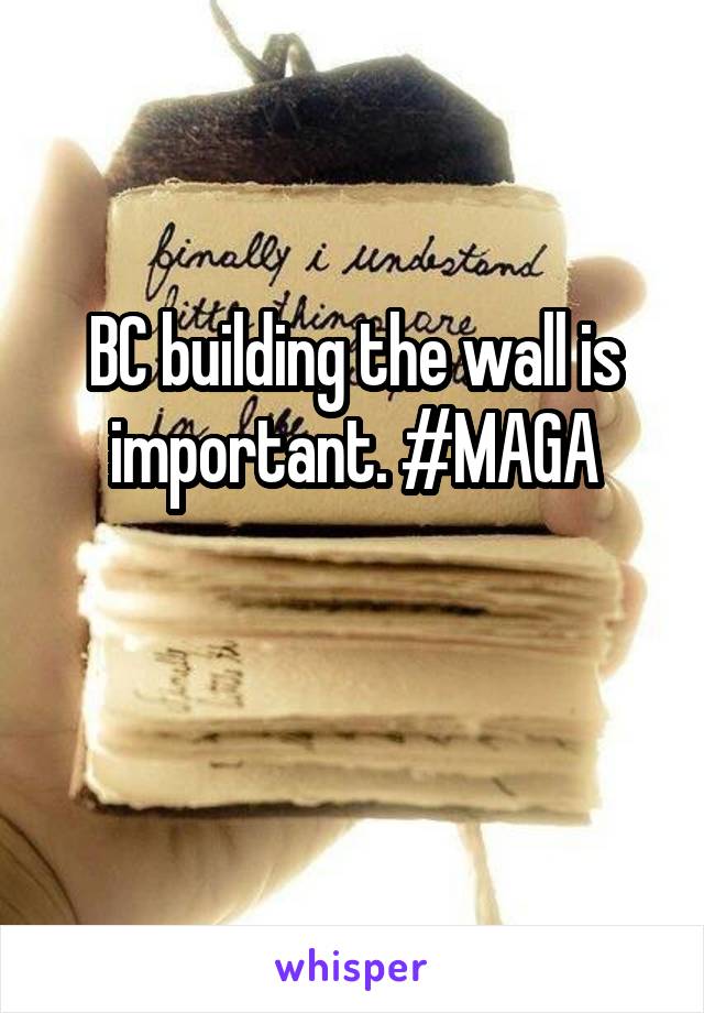 BC building the wall is important. #MAGA

