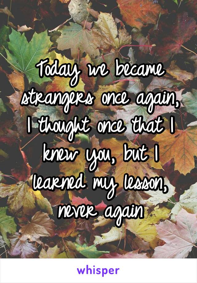 Today we became strangers once again,
I thought once that I knew you, but I learned my lesson, never again