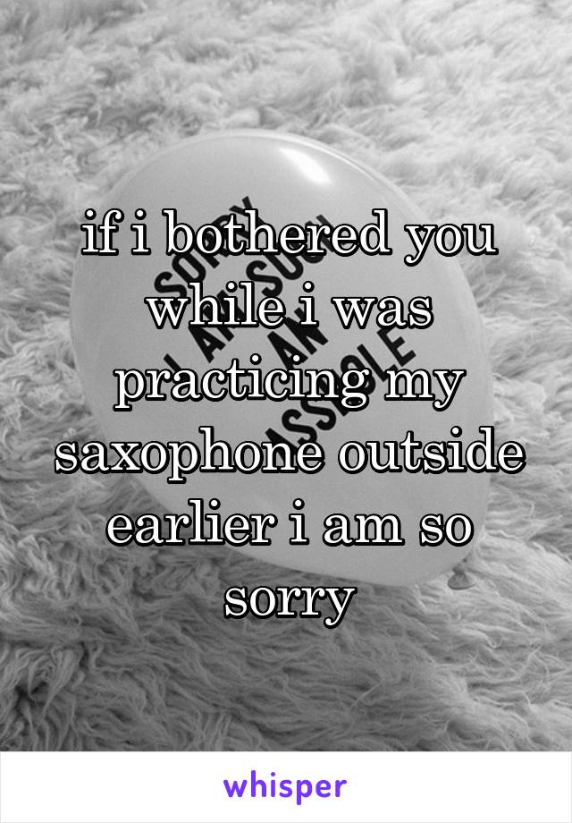 if i bothered you while i was practicing my saxophone outside earlier i am so sorry