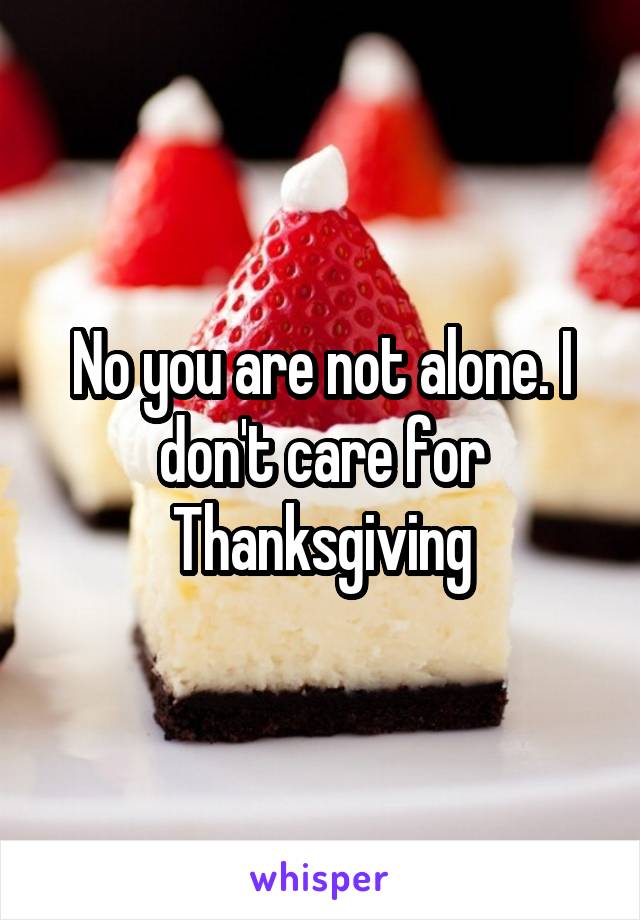 No you are not alone. I don't care for Thanksgiving