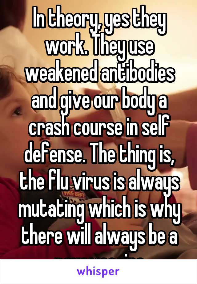 In theory, yes they work. They use weakened antibodies and give our body a crash course in self defense. The thing is, the flu virus is always mutating which is why there will always be a new vaccine
