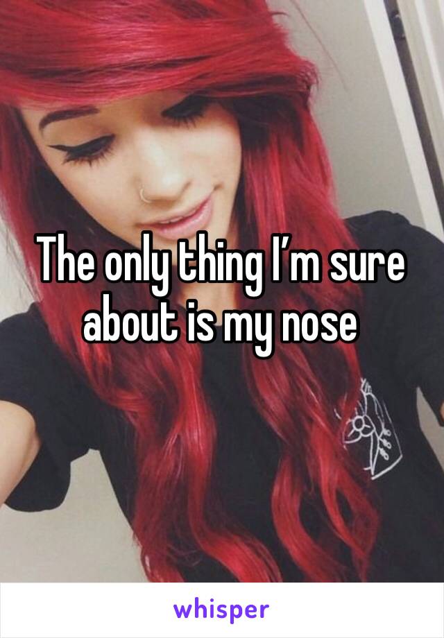 The only thing I’m sure about is my nose