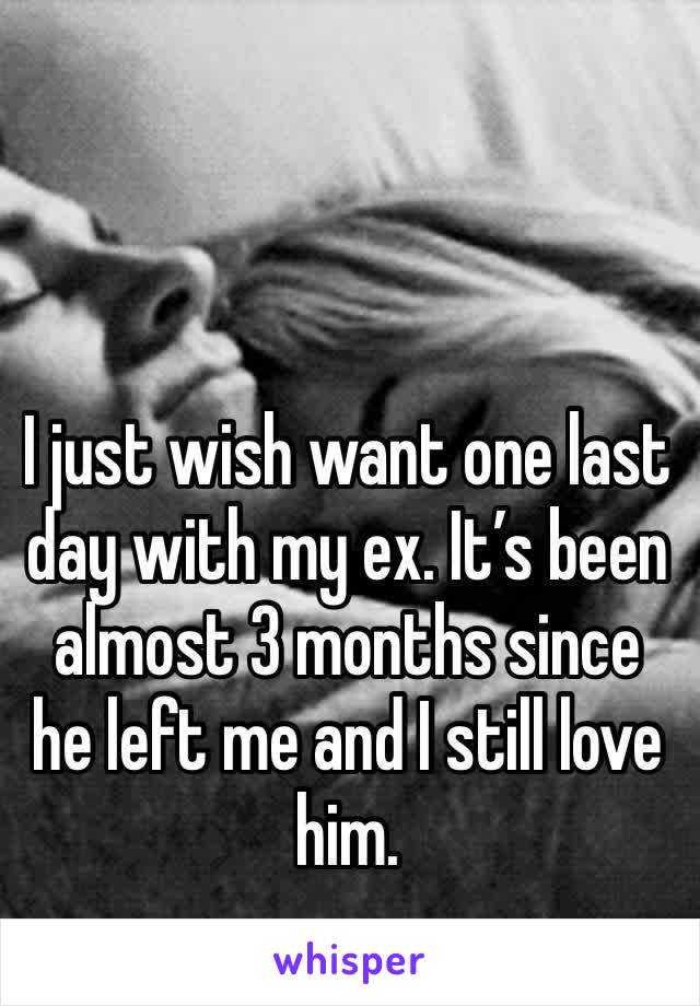 I just wish want one last day with my ex. It’s been almost 3 months since he left me and I still love him.