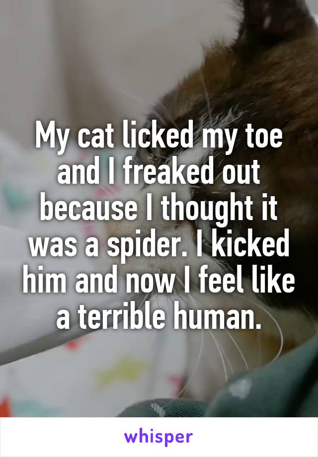 My cat licked my toe and I freaked out because I thought it was a spider. I kicked him and now I feel like a terrible human.