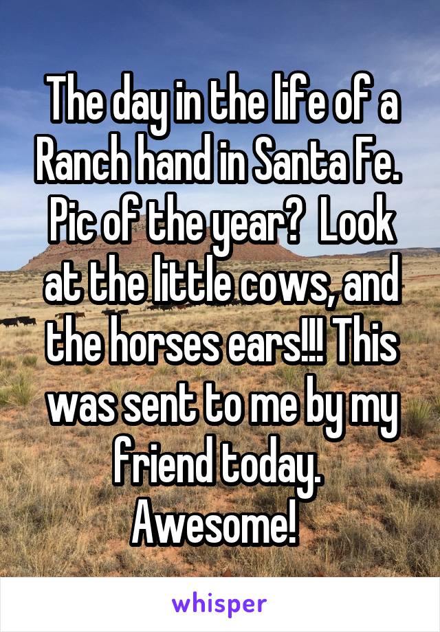 The day in the life of a Ranch hand in Santa Fe.  Pic of the year?  Look at the little cows, and the horses ears!!! This was sent to me by my friend today.  Awesome!  