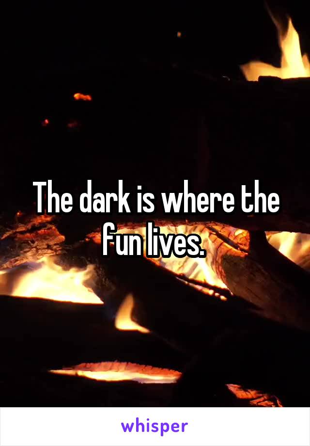 The dark is where the fun lives. 