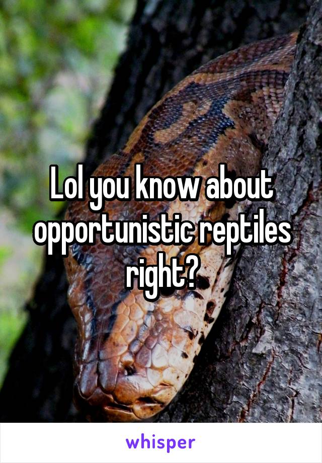 Lol you know about opportunistic reptiles right?