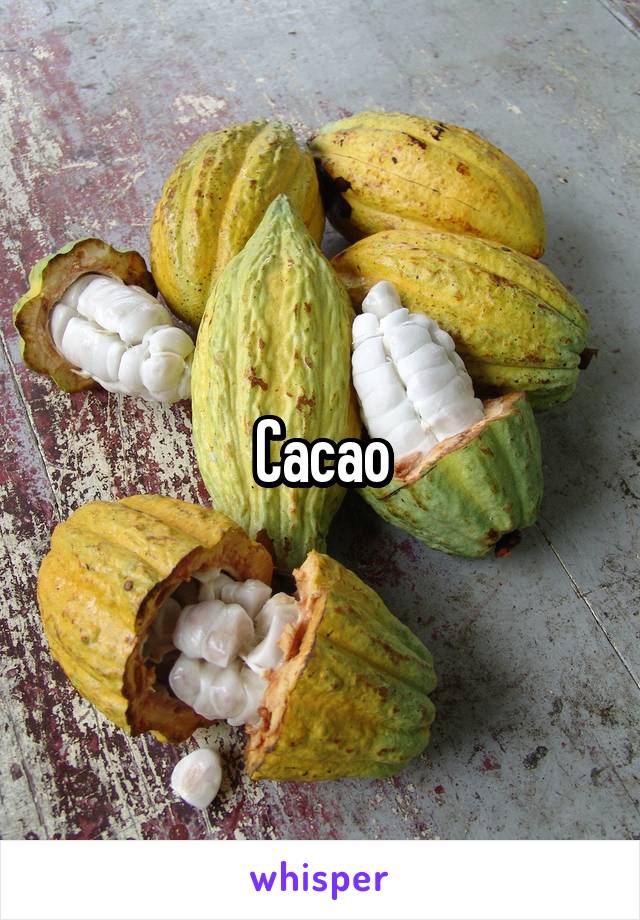 Cacao