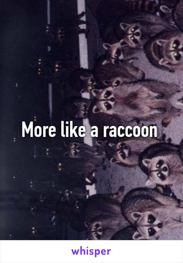 More like a raccoon 