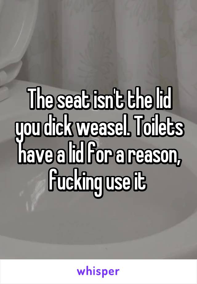 The seat isn't the lid you dick weasel. Toilets have a lid for a reason, fucking use it 