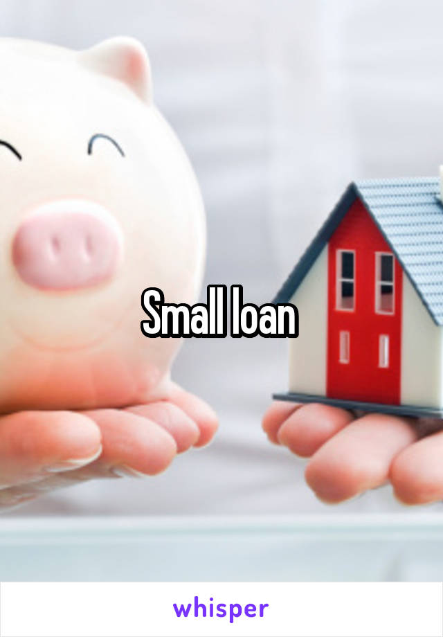Small loan 