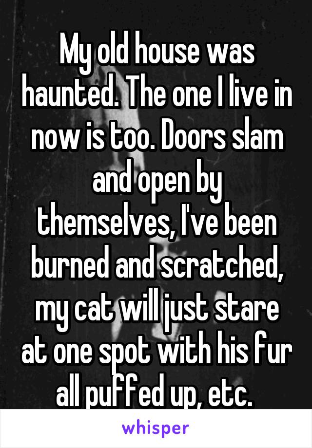 My old house was haunted. The one I live in now is too. Doors slam and open by themselves, I've been burned and scratched, my cat will just stare at one spot with his fur all puffed up, etc. 