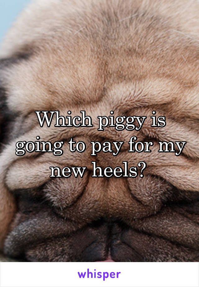 Which piggy is going to pay for my new heels? 