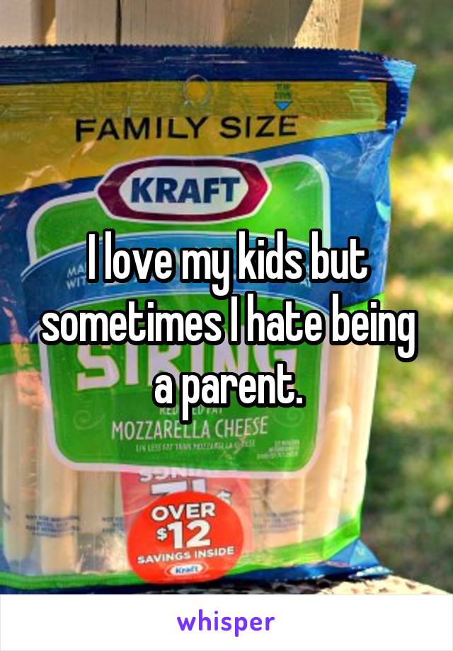 I love my kids but sometimes I hate being a parent.