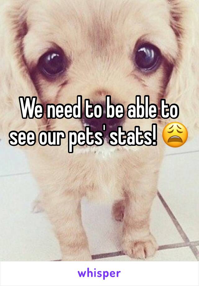 We need to be able to see our pets' stats! 😩