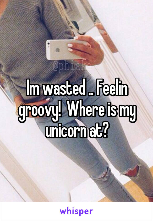 Im wasted .. Feelin groovy!  Where is my unicorn at?