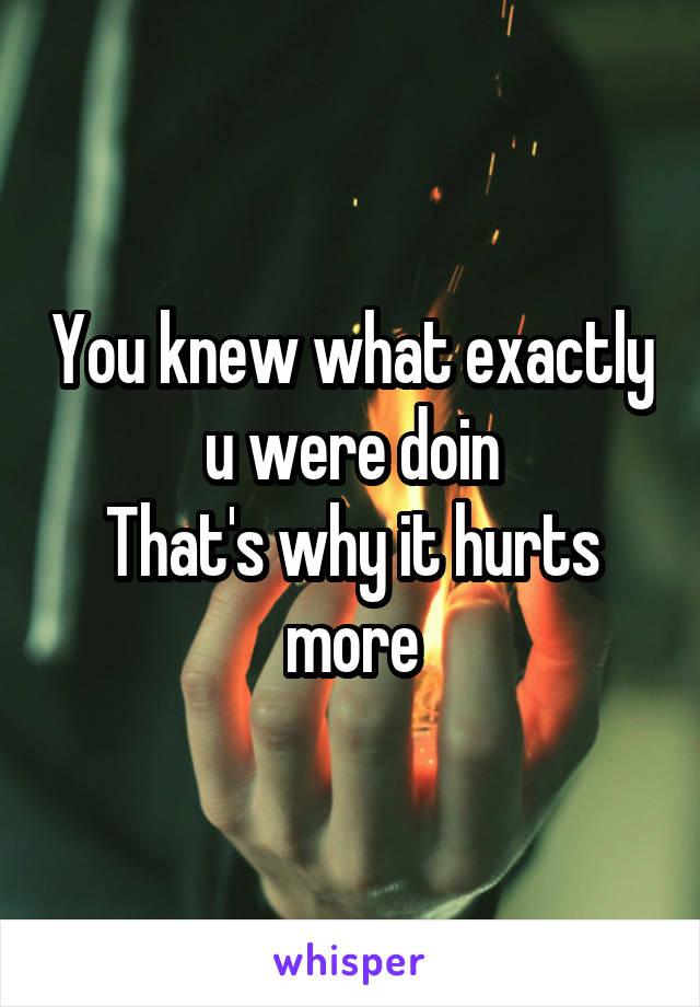 You knew what exactly u were doin
That's why it hurts more