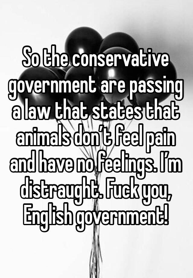 So the conservative government are passing a law that states that animals don’t feel pain and have no feelings. I’m distraught. Fuck you, English government!