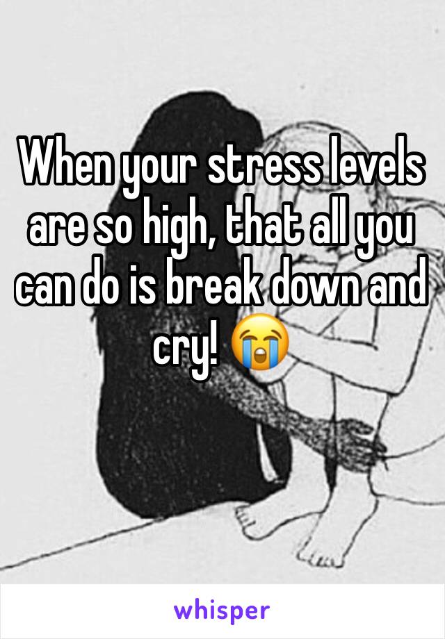 When your stress levels are so high, that all you can do is break down and cry! 😭

