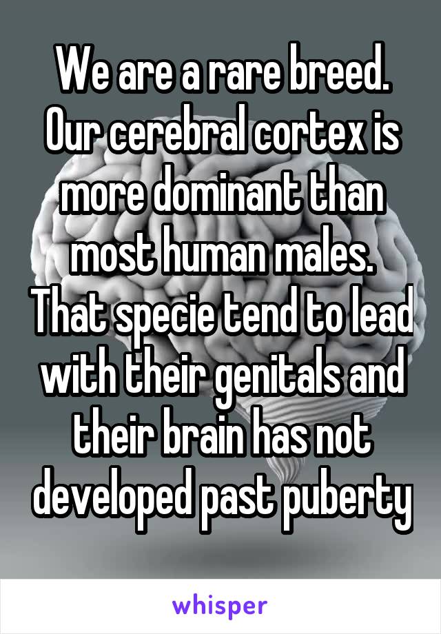 We are a rare breed. Our cerebral cortex is more dominant than most human males. That specie tend to lead with their genitals and their brain has not developed past puberty 