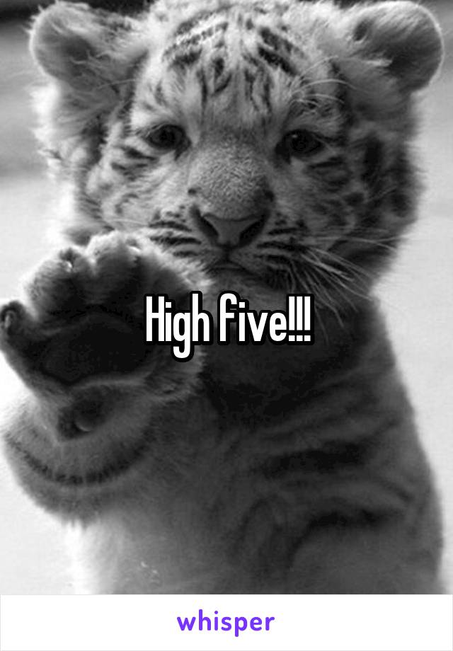 High five!!!
