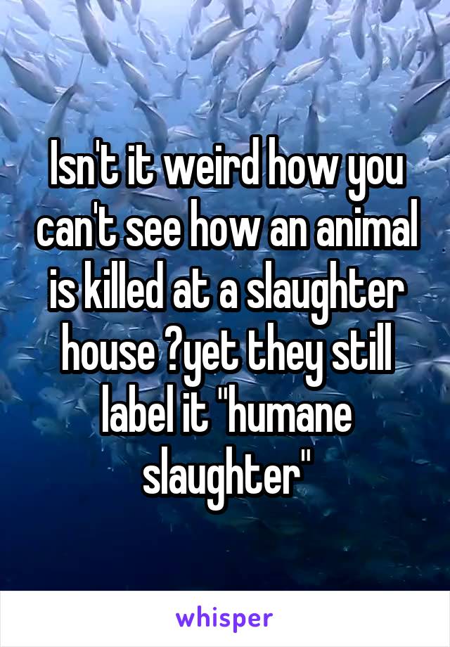 Isn't it weird how you can't see how an animal is killed at a slaughter house ?yet they still label it "humane slaughter"