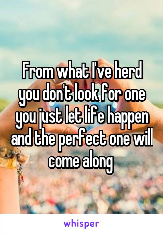 From what I've herd you don't look for one you just let life happen and the perfect one will come along 
