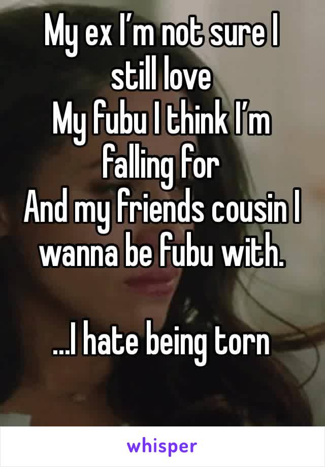 My ex I’m not sure I still love
My fubu I think I’m falling for
And my friends cousin I wanna be fubu with.

...I hate being torn