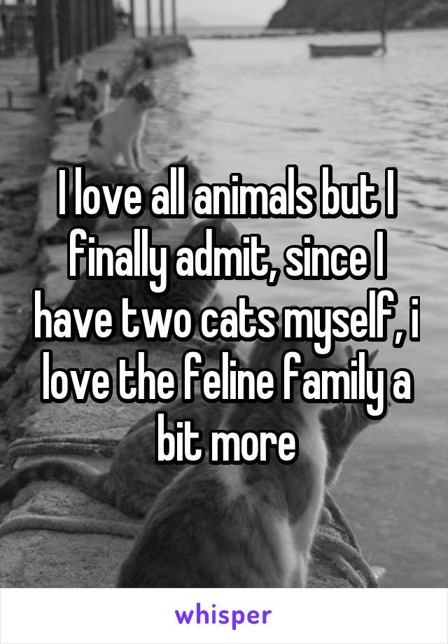 I love all animals but I finally admit, since I have two cats myself, i love the feline family a bit more