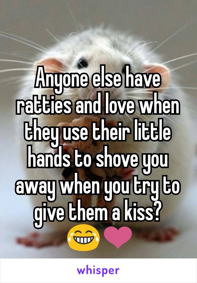 Anyone else have ratties and love when they use their little hands to shove you away when you try to give them a kiss?
 😂❤